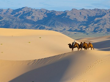 Eight Lakes Horse Riding Tour